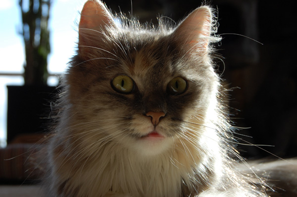 meine kleine Motte.jpg